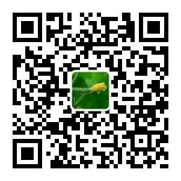 篮球教练如何帮助球员理解规则的重要性?_2